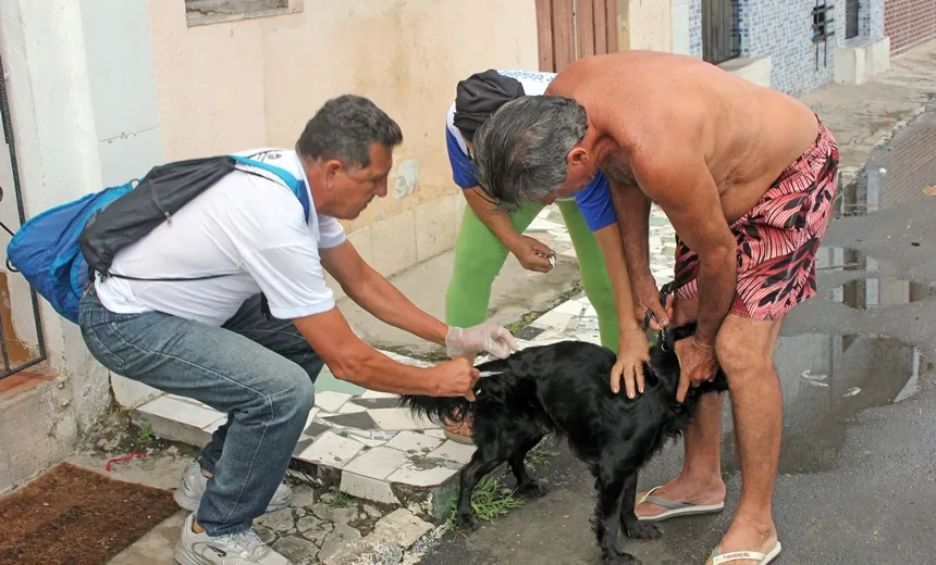 IMUNIZAÇÃO: Prefeitura oferece vacinação antirrábica em 94 postos de Salvador