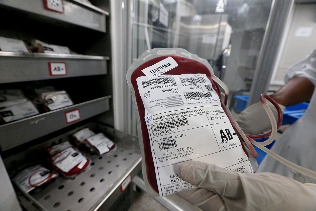 Sangue Rafaelmartins Hemoba