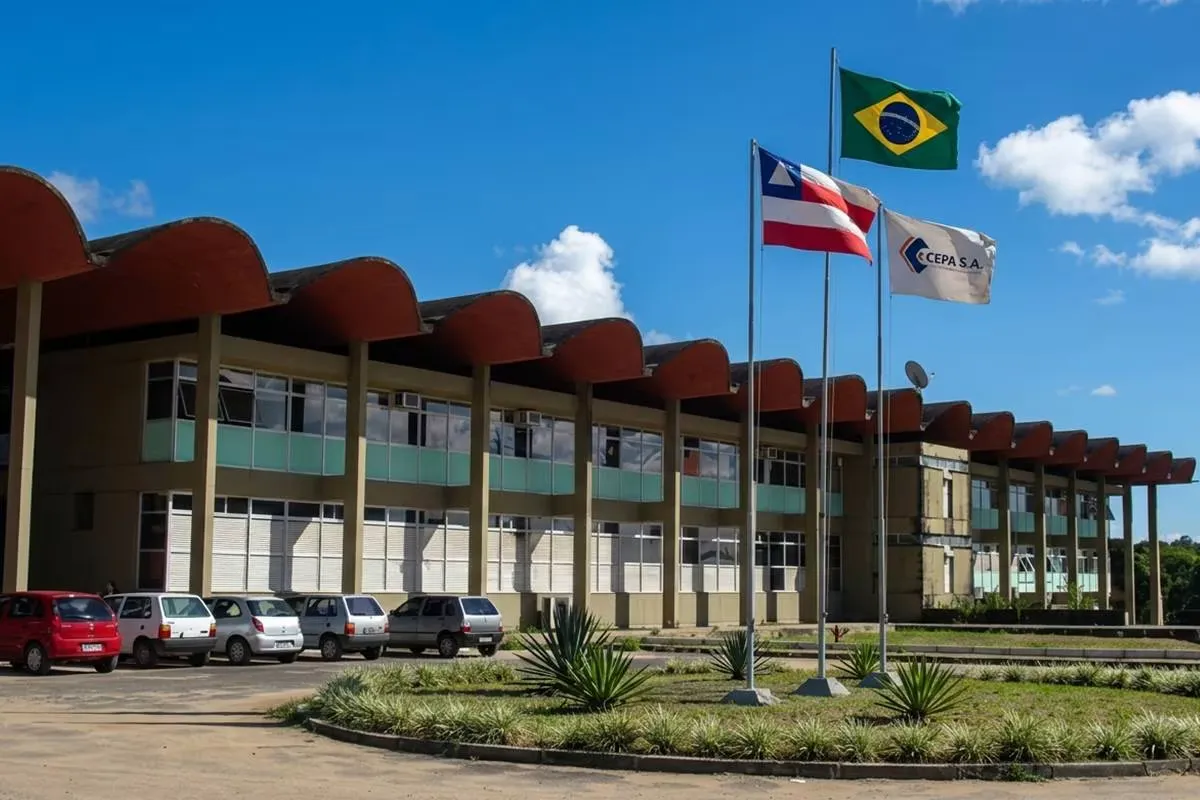 IFBA abre vagas para professores com salário de até R$ 5,1 mil; confira