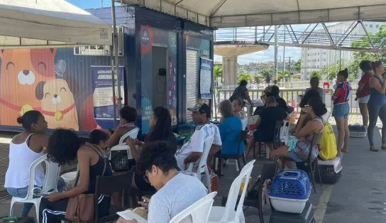 Serviço gratuito de castração de pets estará disponível até dezembro no Salvador Norte Shopping