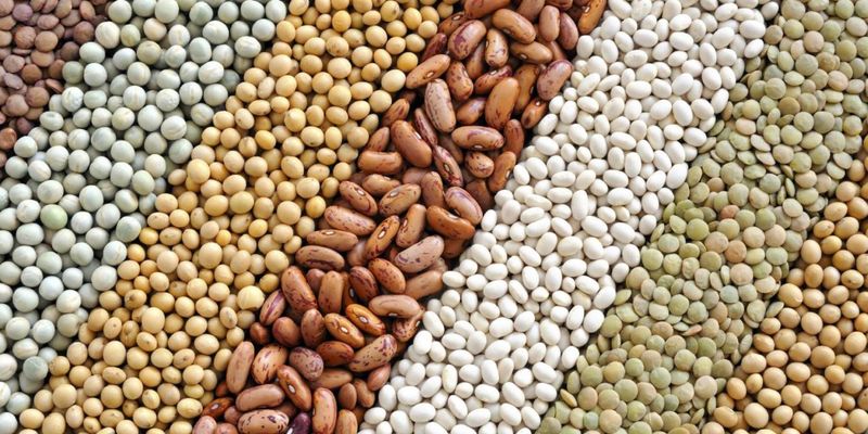 O Oeste da Bahia responde por cerca de 15% da produção nacional de grãos/Foto: Freepik