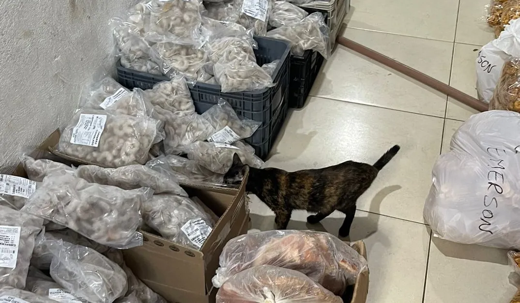 Operação combate venda de produtos irregulares na Feira de São Joaquim