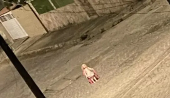 Uma boneca na encruzilhada, ladrões assustados e viralização: por qual motivo essa imagem chamou tanto a atenção?