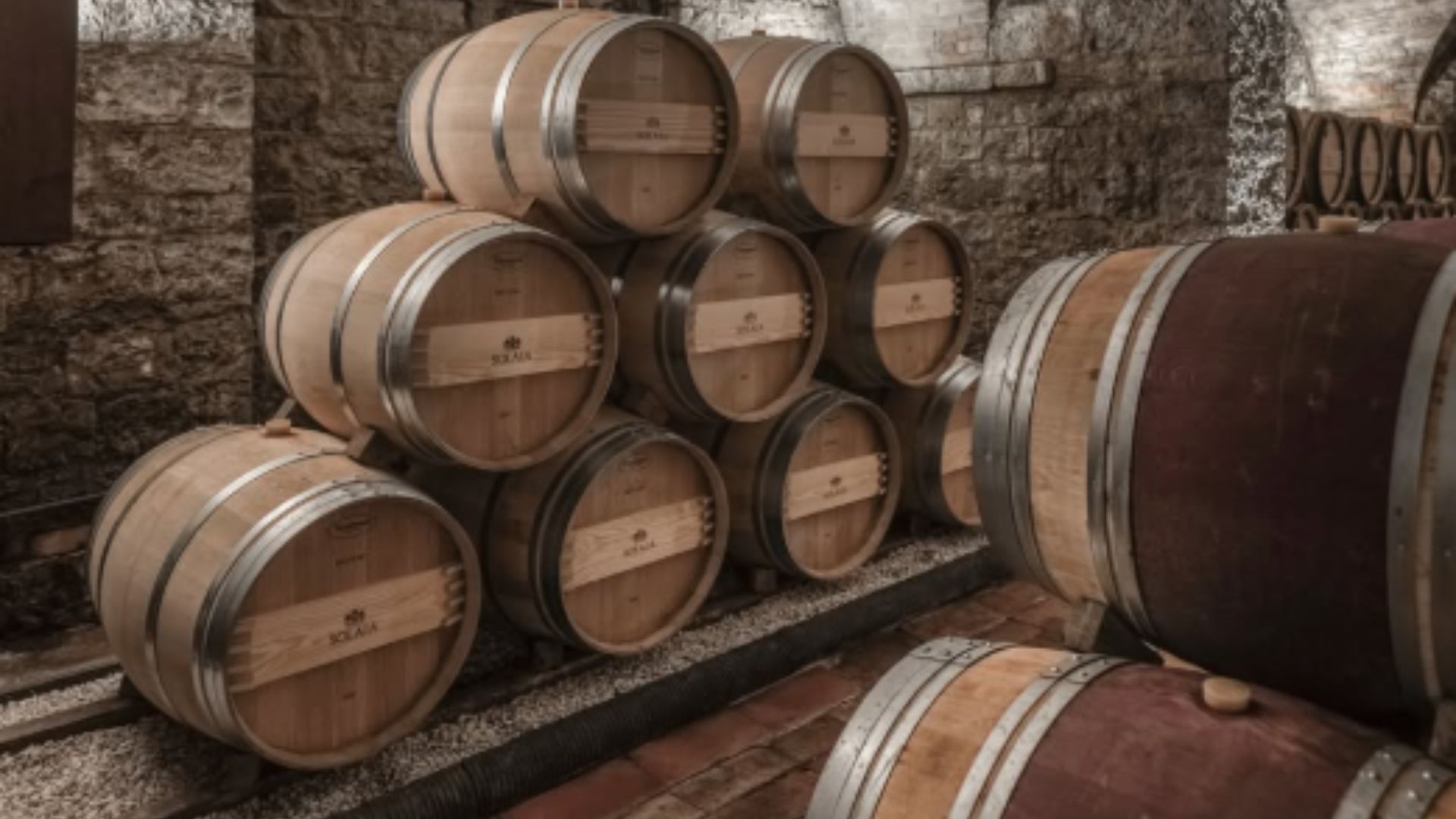 Vin&iacute;cola italiana tem preju&iacute;zo de R$ 28 milh&otilde;es ap&oacute;s roubo de 30 mil garrafas de vinho