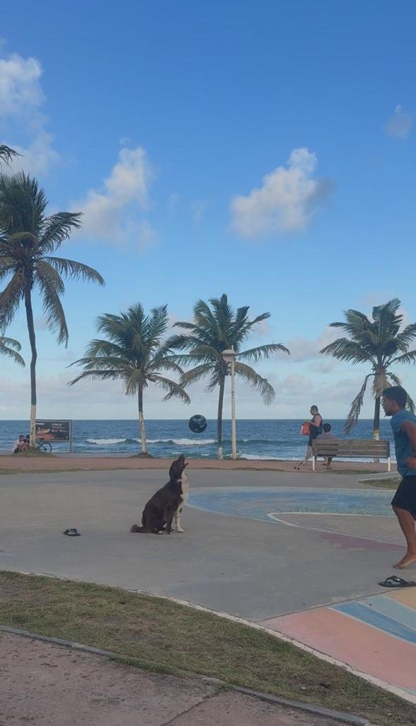 Toddy jogando futvôlei na praia. | Foto: Arquivo Pessoal