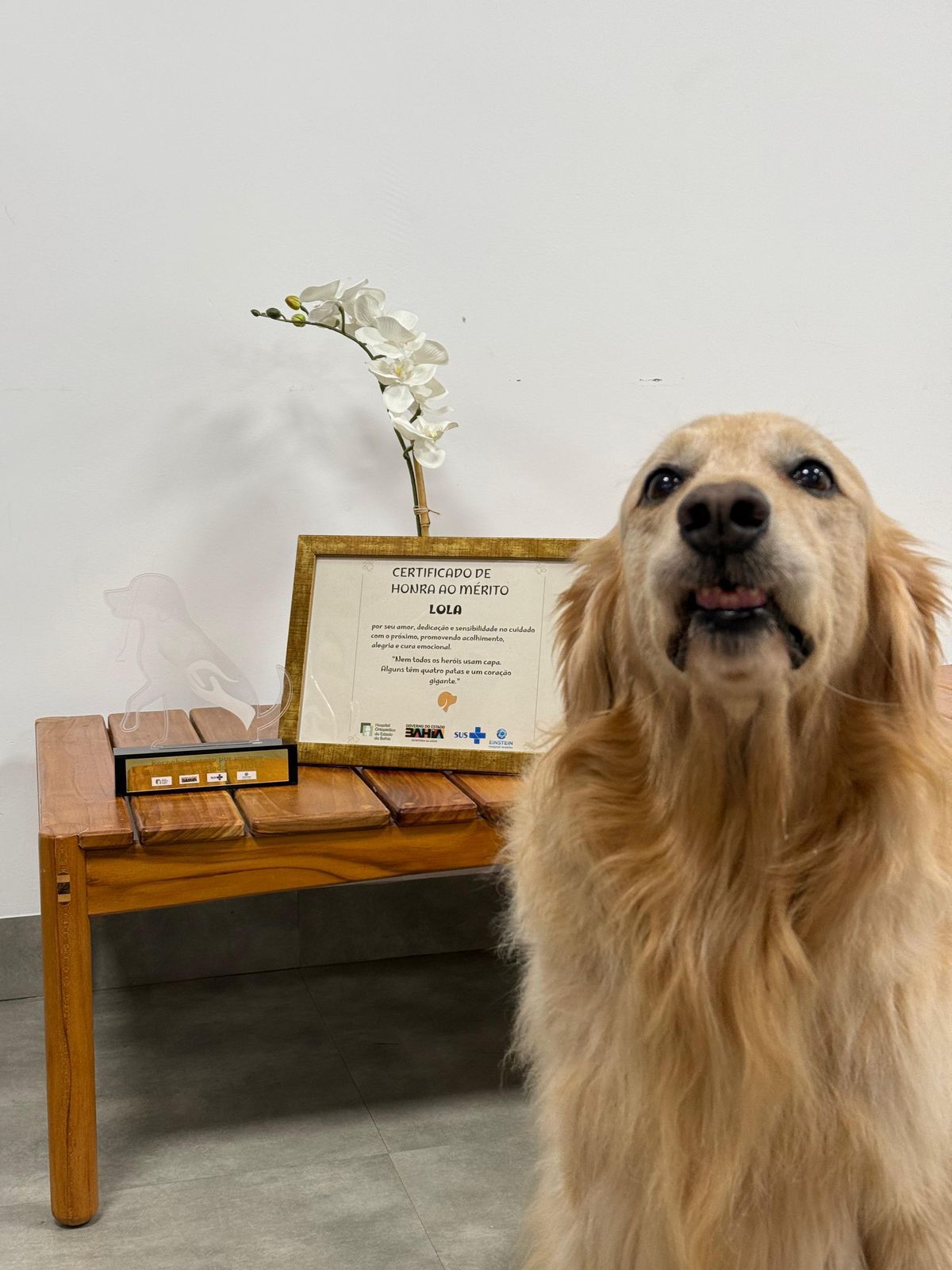 A presença da cadela faz parte da Terapia Assistida por Animais (TAA). | Foto: Sesab