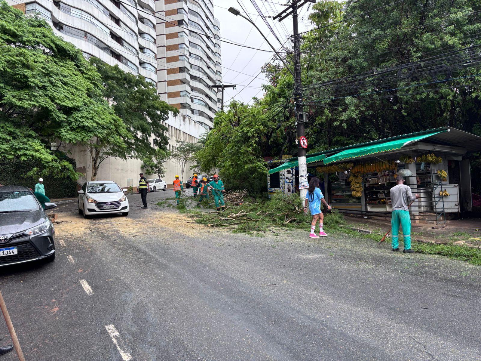 Queda De  &Aacute;rvore No Itaigara. | Foto: Vitor Castro TV Aratu 