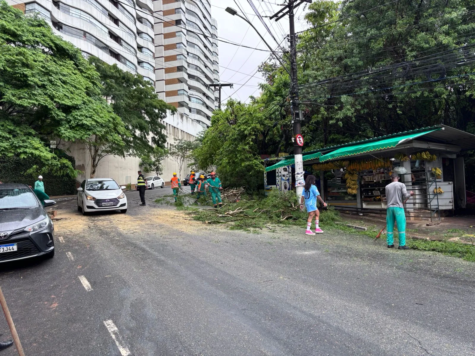 Árvore cai em Salvador após madrugada de chuva; veja previsão do tempo