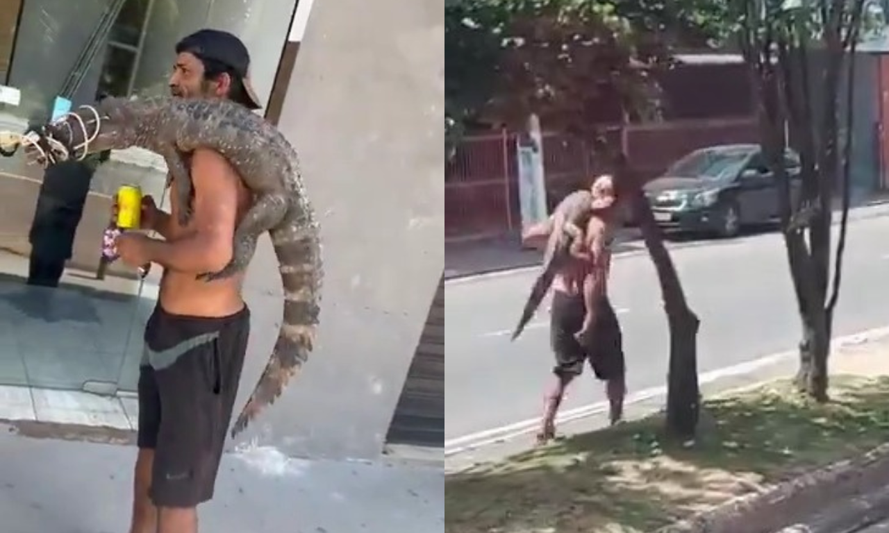 Homem é visto com jacaré nas costas: 'Dá uma marmita ou pedra pra fumar?'. Foto: Reprodução