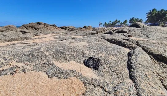Manchas de óleo são novamente encontradas na orla de Salvador e preocupam comerciantes e banhistas 