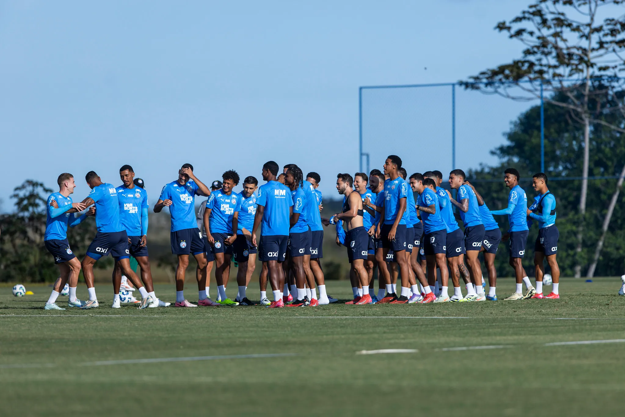 Bahia x Fluminense: horário, onde assistir ao vivo e proáveis times