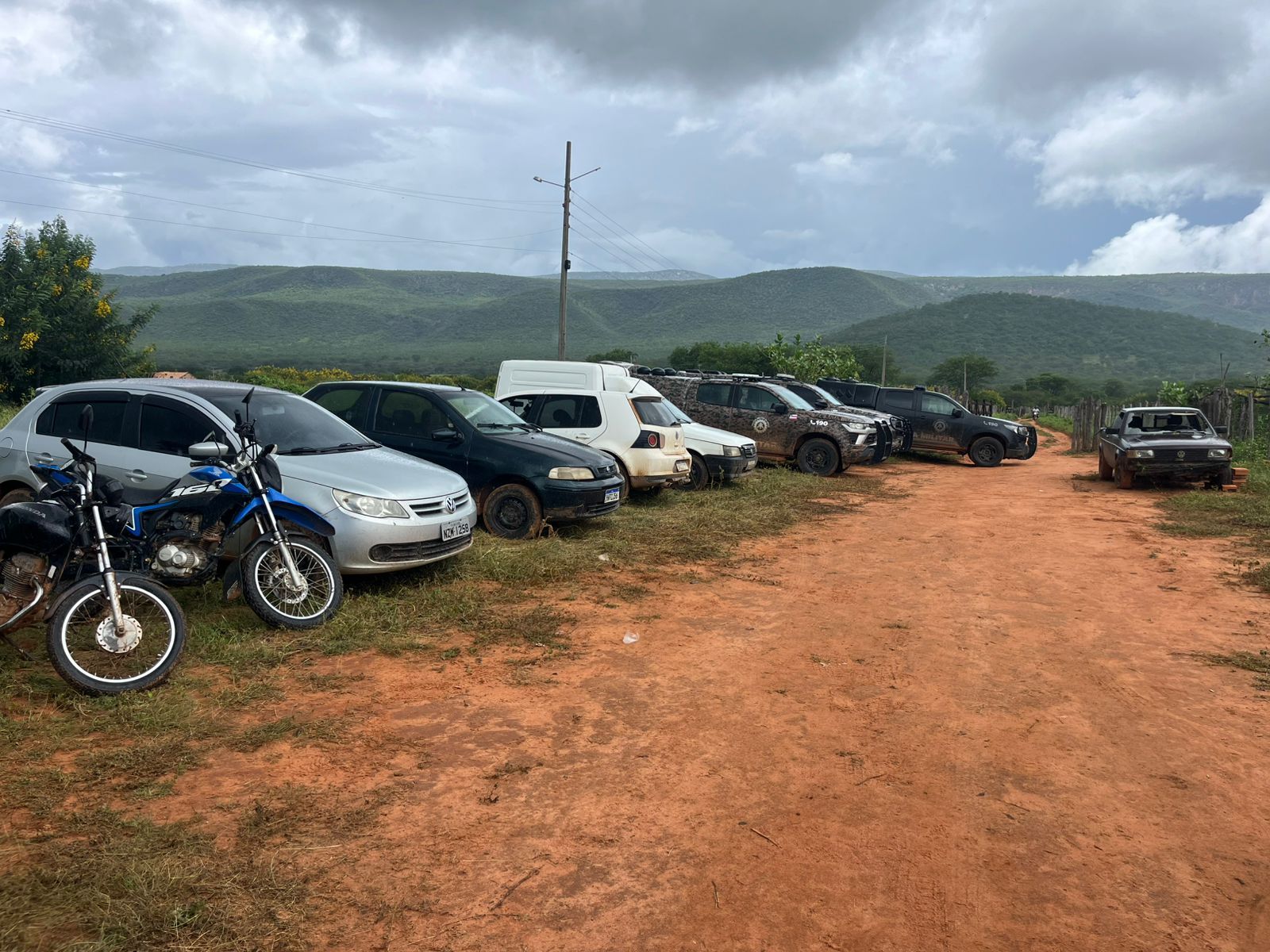 Cinco Homens Morreram E Dez Foram Presos E 200 Mil Pés De Maconha Apreendidos Na Bahia (2)