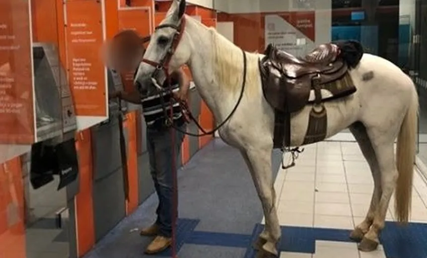 Homem entra com cavalo em agência bancária; "não deixei o animal na rua, com medo de ser roubado"