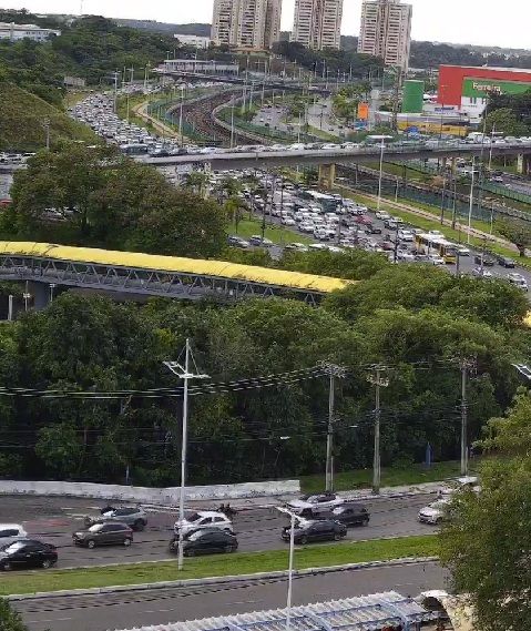 Foto: Transalvador