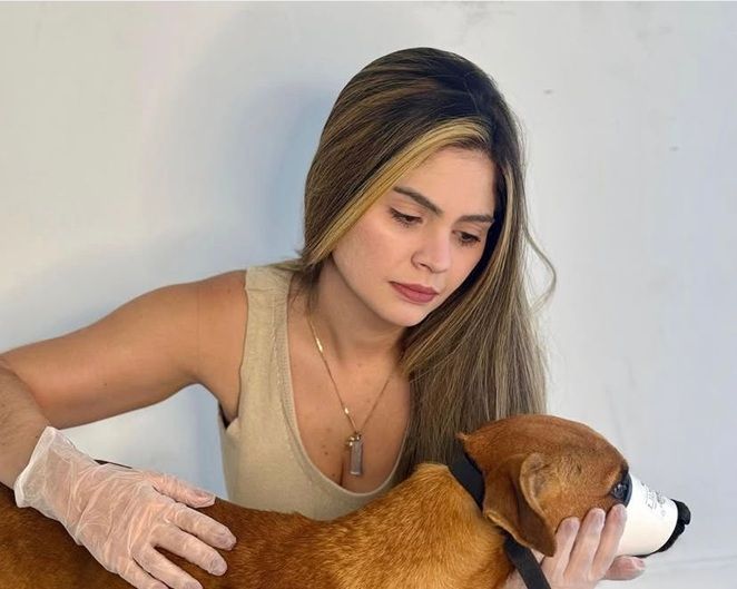 Vereadora Repudia Abandono De Cachorro Em Salvador E Cobra Investigação