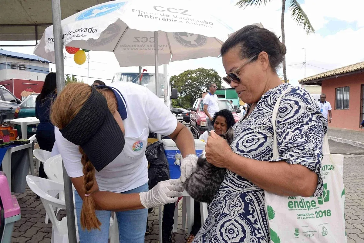 Confira onde imunizar cães e gatos com a vacina antirrábica em Salvador, neste final de semana (22 e 23)