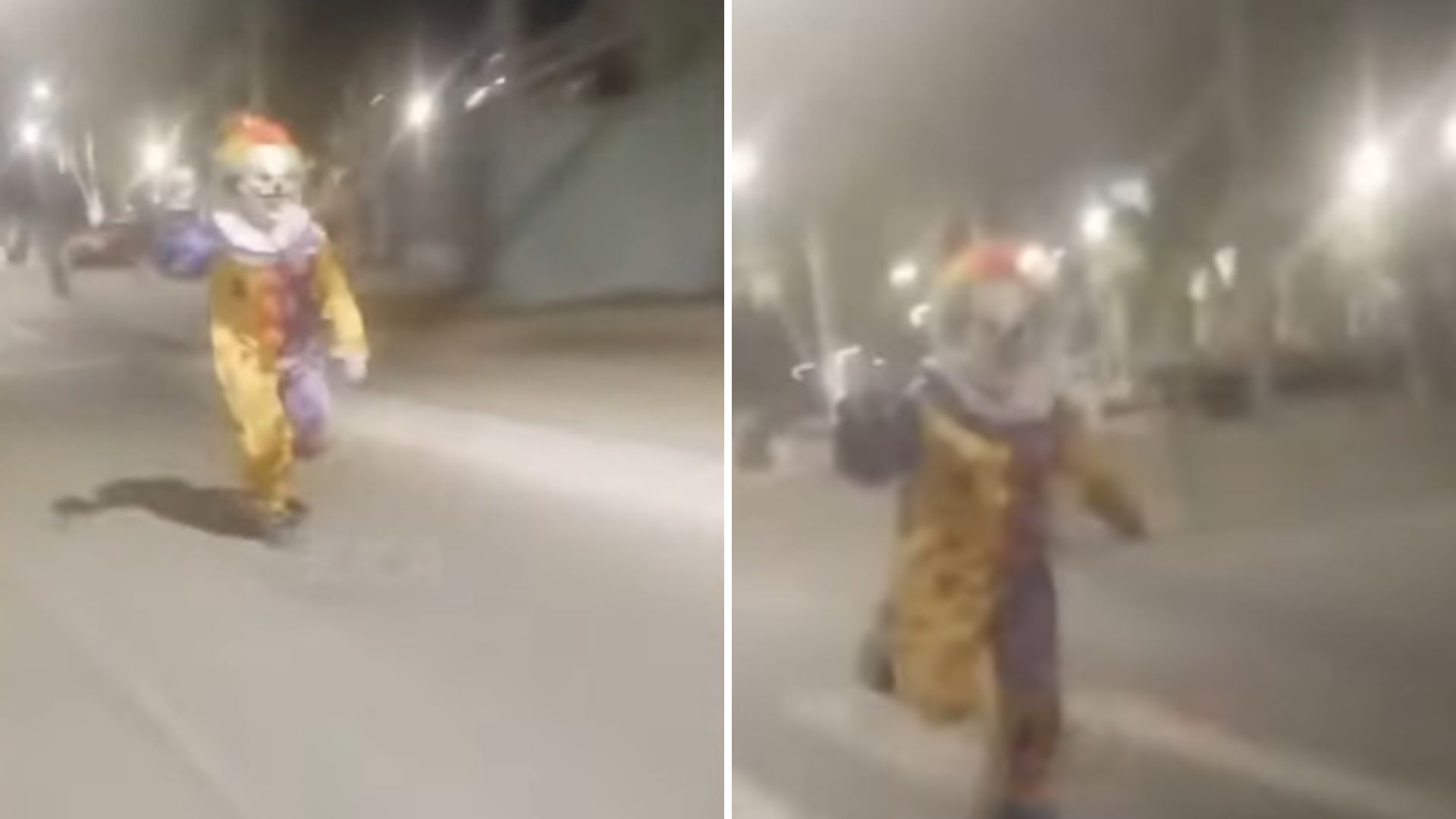 Palha&ccedil;o em Salvador? Real ou fake?