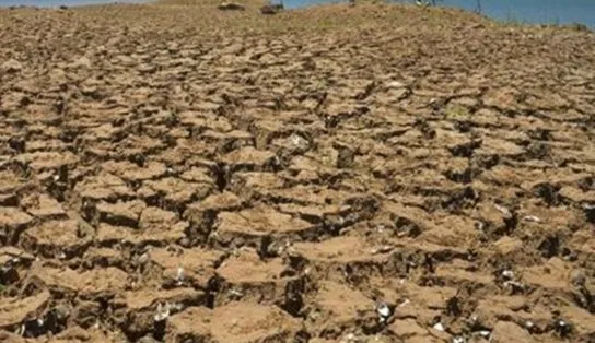 Duas cidades baianas têm situação de emergência, por conta da seca, reconhecidas pelo Governo