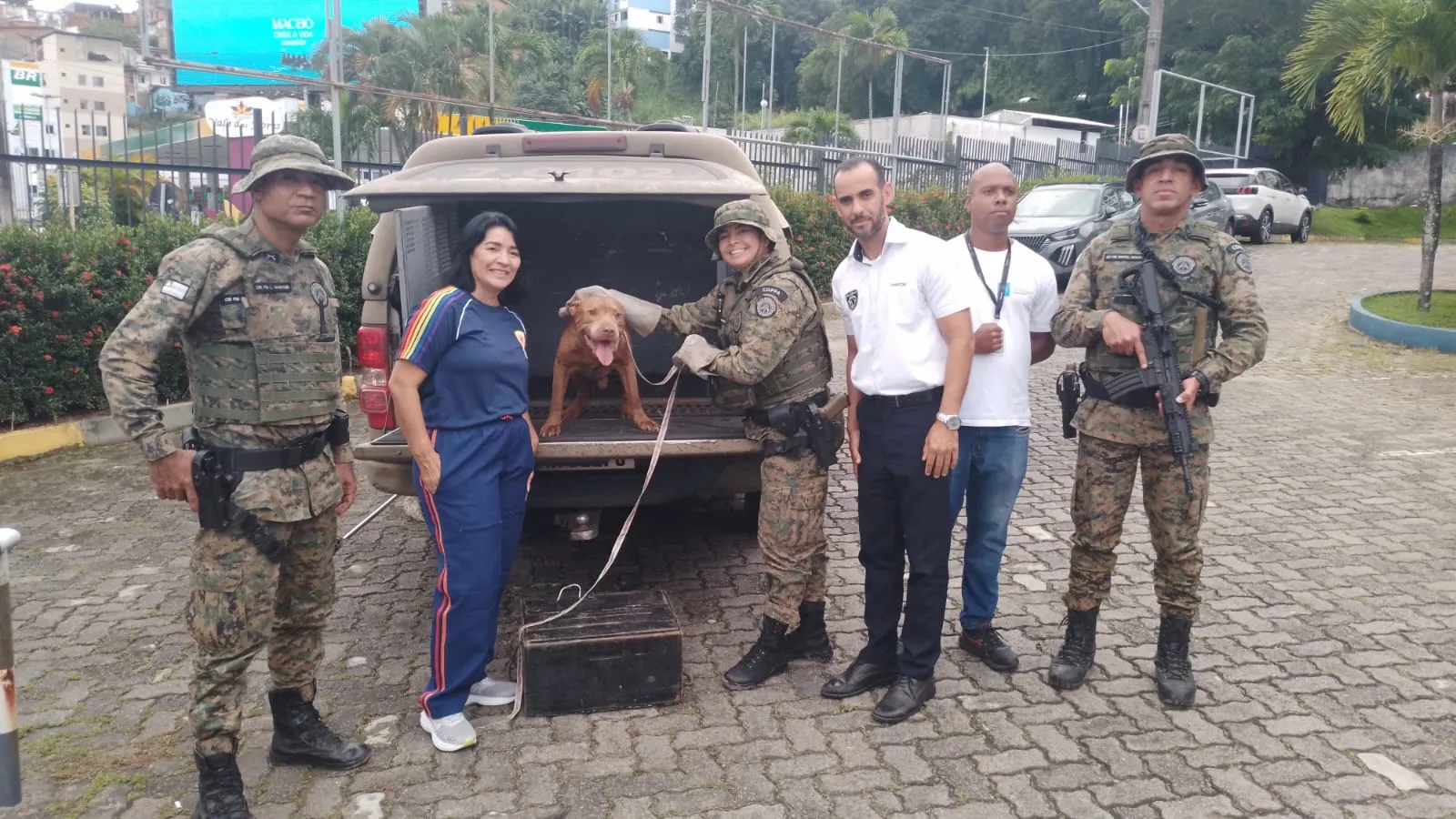PM resgata cachorro com sinais de maus-tratos na Bonocô