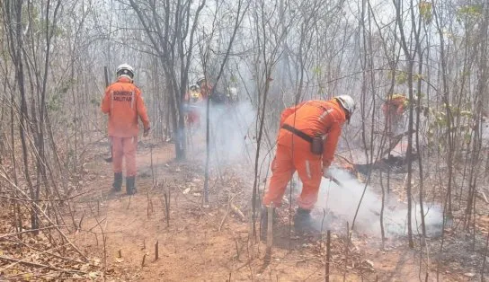Corpo de Bombeiros mantém plano de combate aos incêndios em diversos municípios do interior da Bahia
