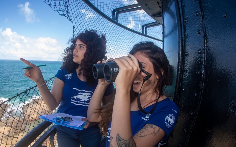 A temporada de observação de baleias jubarte coincide com a migração anual dos animais, que deixam a Antártica em busca das águas mais quentes do litoral brasileiro para acasalamento e reprodução/Foto: Enrico Marcovaldi/Projeto Baleia Jubarte