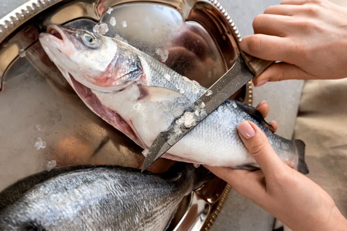 Peixeiro vagas de emprego