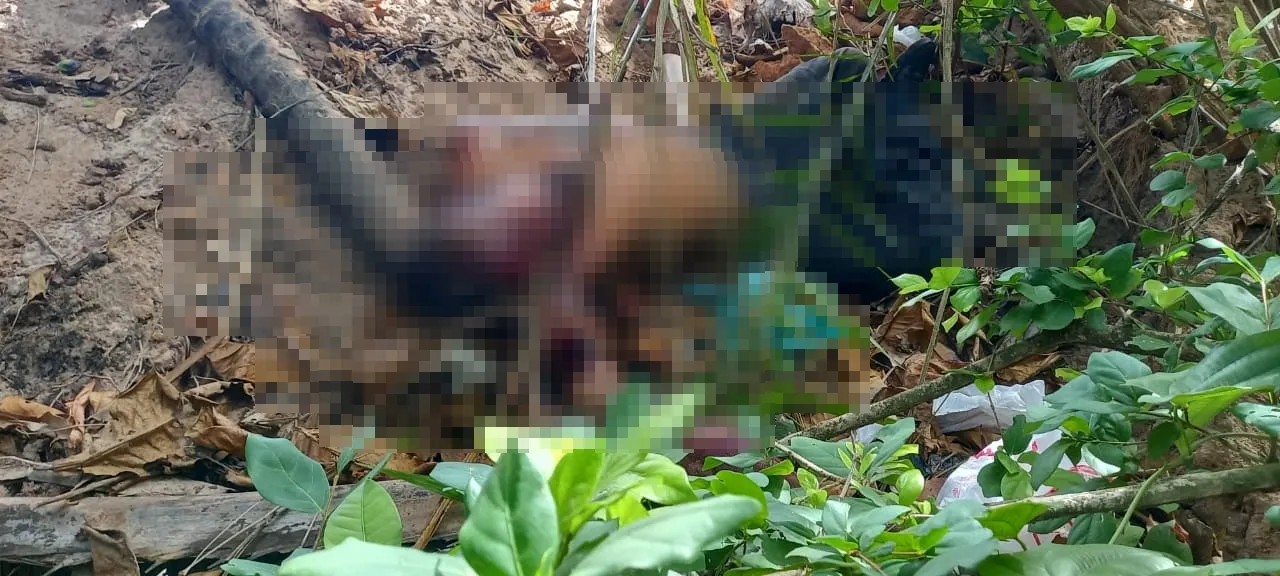 Corpo de homem é encontrado no Parque do Abaeté, em Salvador