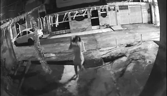 Mulher apedreja casa de vizinha após briga por conta de bandeirolas juninas; "Ela faz isso para me amedrontar"