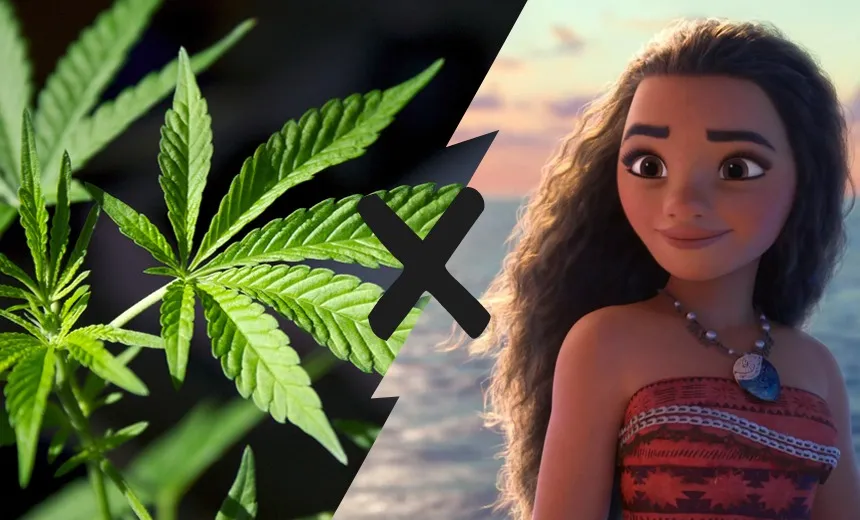  Confeiteiro se confunde e faz bolo de aniversário com tema de "maconha" ao invés de "Moana"; veja 