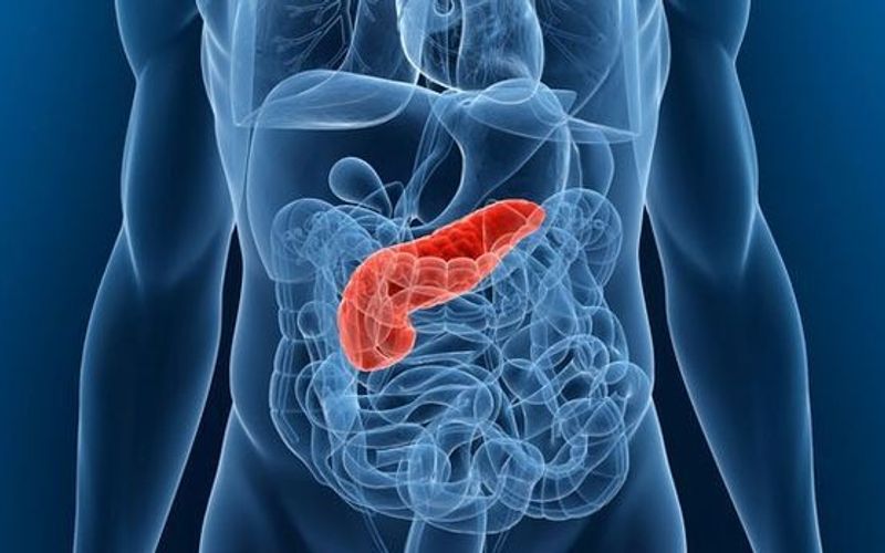 O acompanhamento profissional permite ajustar doses, monitorar efeitos colaterais, avaliar exames laboratoriais e identificar precocemente sinais de complica&ccedil;&otilde;es, como altera&ccedil;&otilde;es pancre&aacute;ticas e gastrointestinais/Foto: Reprodu&ccedil;&atilde;o&nbsp;