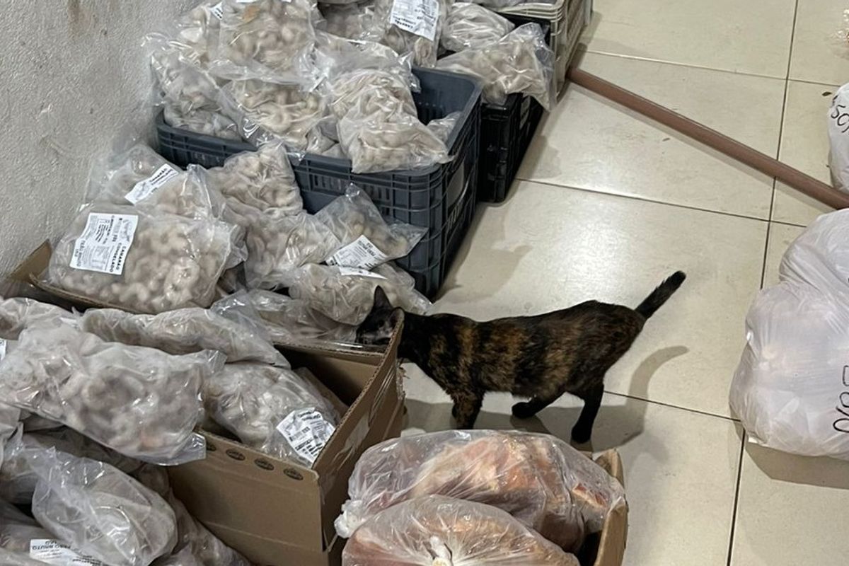 Foto: Divulga&ccedil;&atilde;o