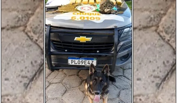 Maconha e carregador de fuzil são achados durante operação da PM em Salvador 