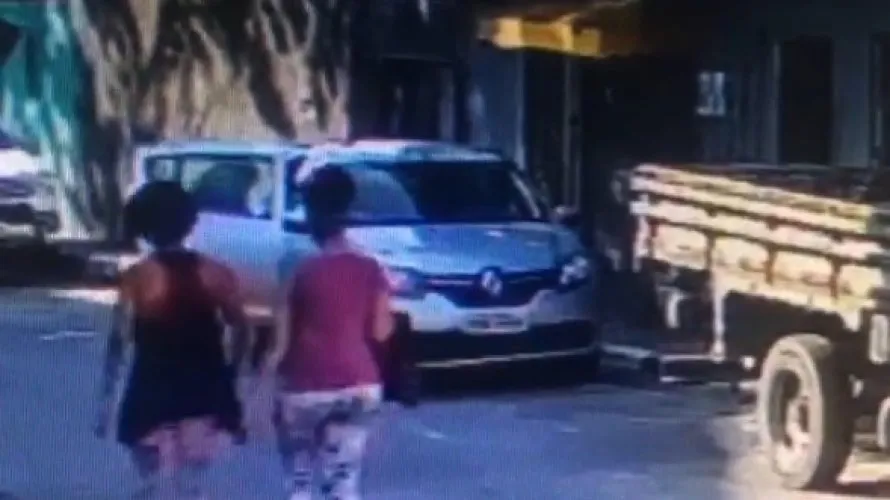 Funcionária de vereadora é acusada de roubar cães e gatos em canil 