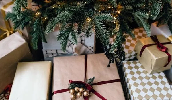 Campanha Papai Noel dos Correios tem prazos prorrogados; veja como adquirir sua cartinha 