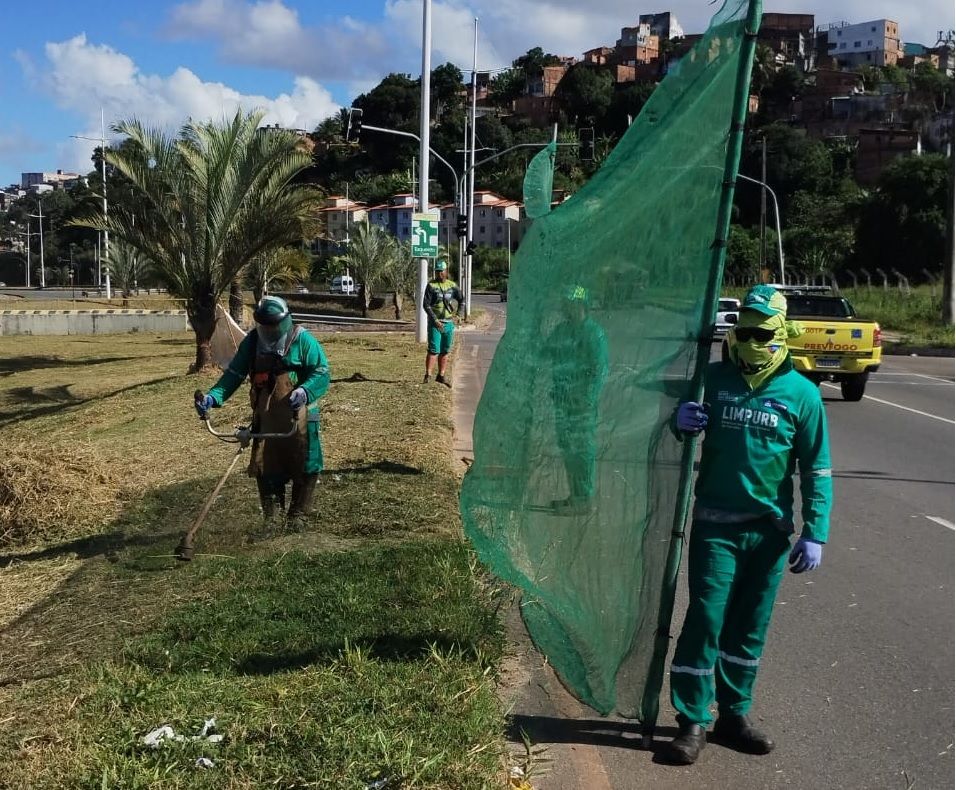 Foto: Reprodução | Limpurb