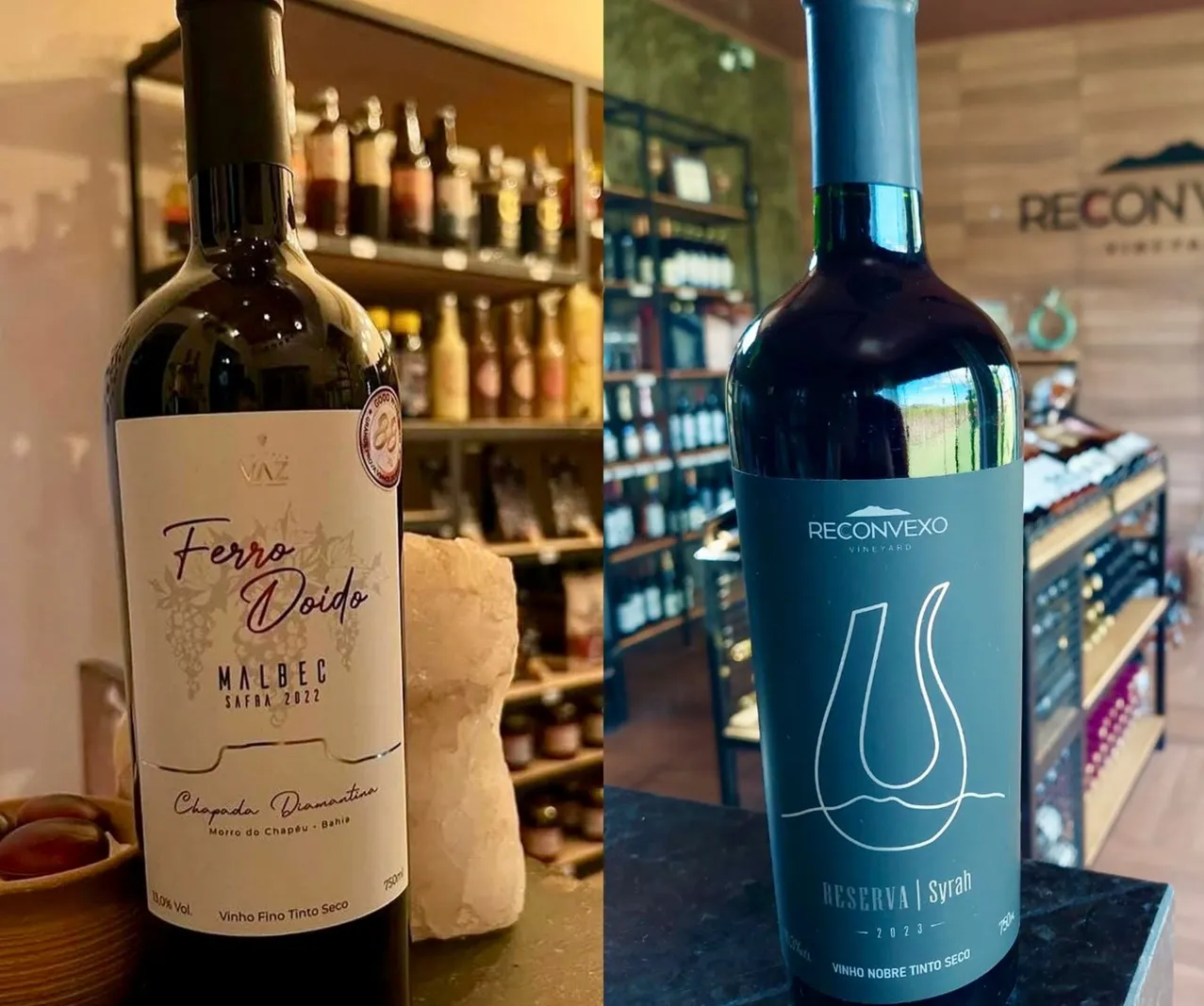Vinícolas de Morro do Chapéu colocam Bahia entre melhores vinhos do país