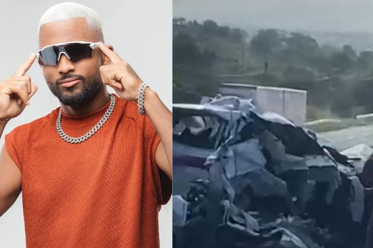 Zau O Passaro Morre Montagem