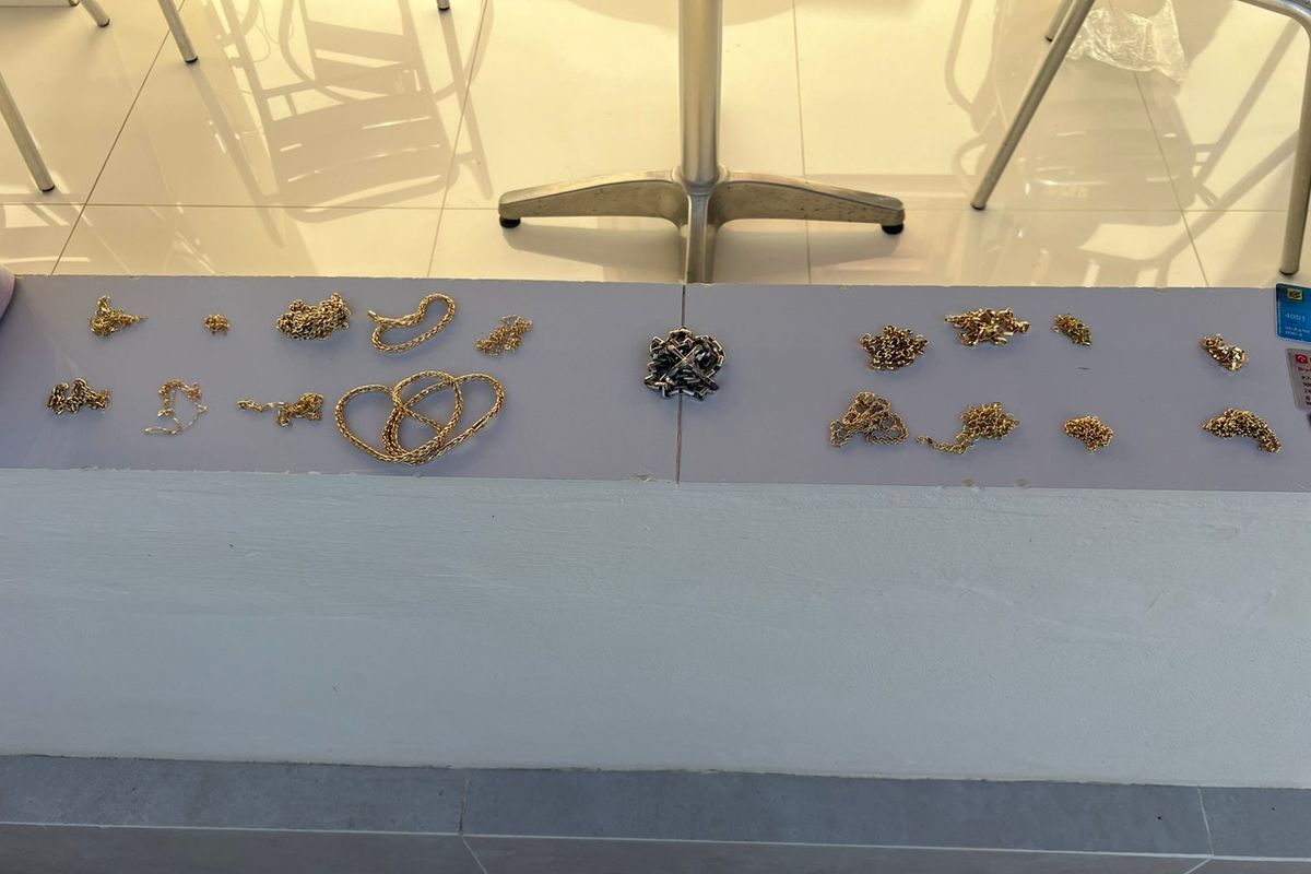 Opera&ccedil;&atilde;o Repasse 02