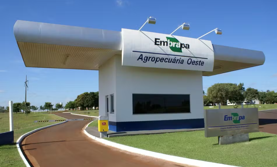  Foto: Nilton Pires de Araujo/Divulgação/Embrapa