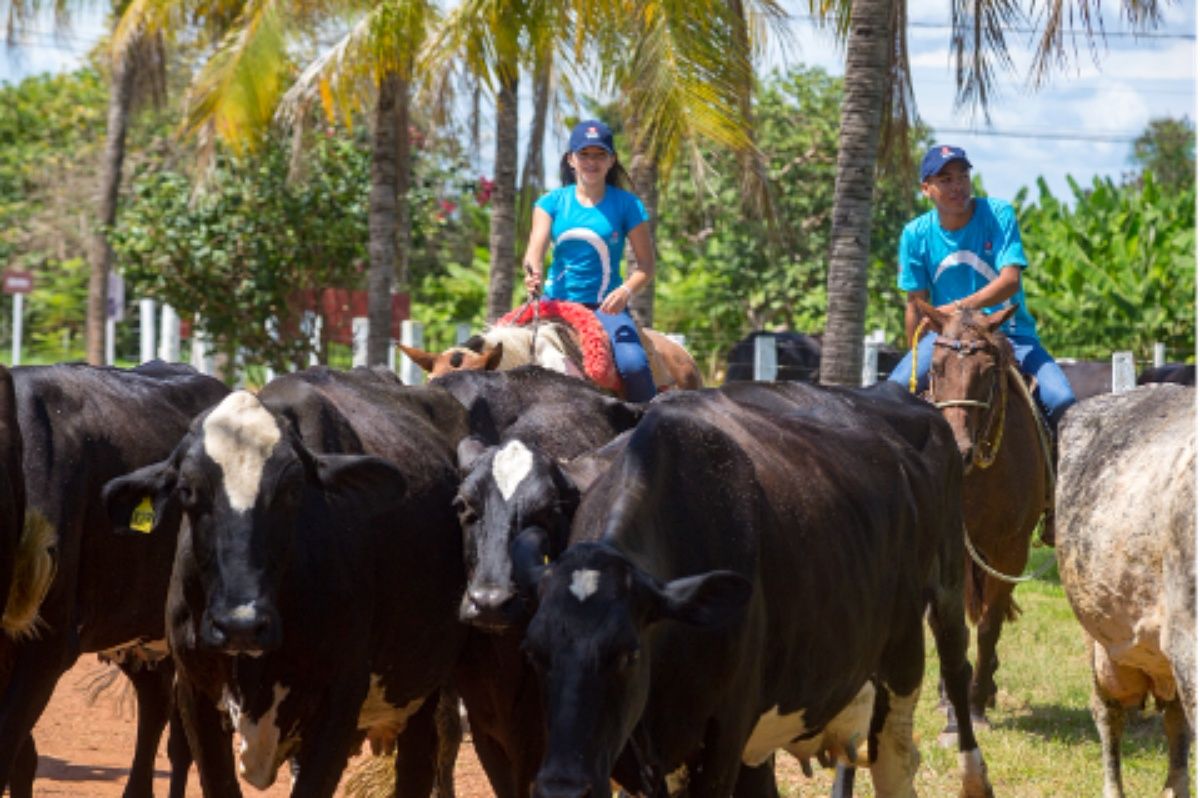 A Fundação Bradesco abriu vagas para o curso técnico em Agropecuária na Bahia, mais precisamente, em Feira de Santana. Foto: Divulgação/Ronaldo Aguiar