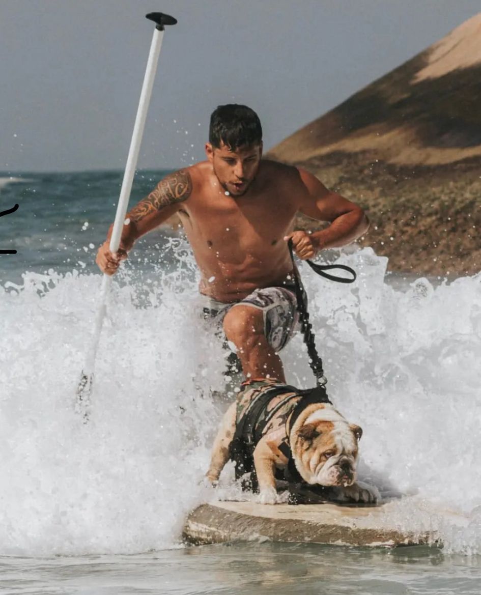 Antes de Toddy, Diego viajava com Jhonson, apelidado de Gordo, um buldogue francês surfista. | Foto: Arquivo Pessoal