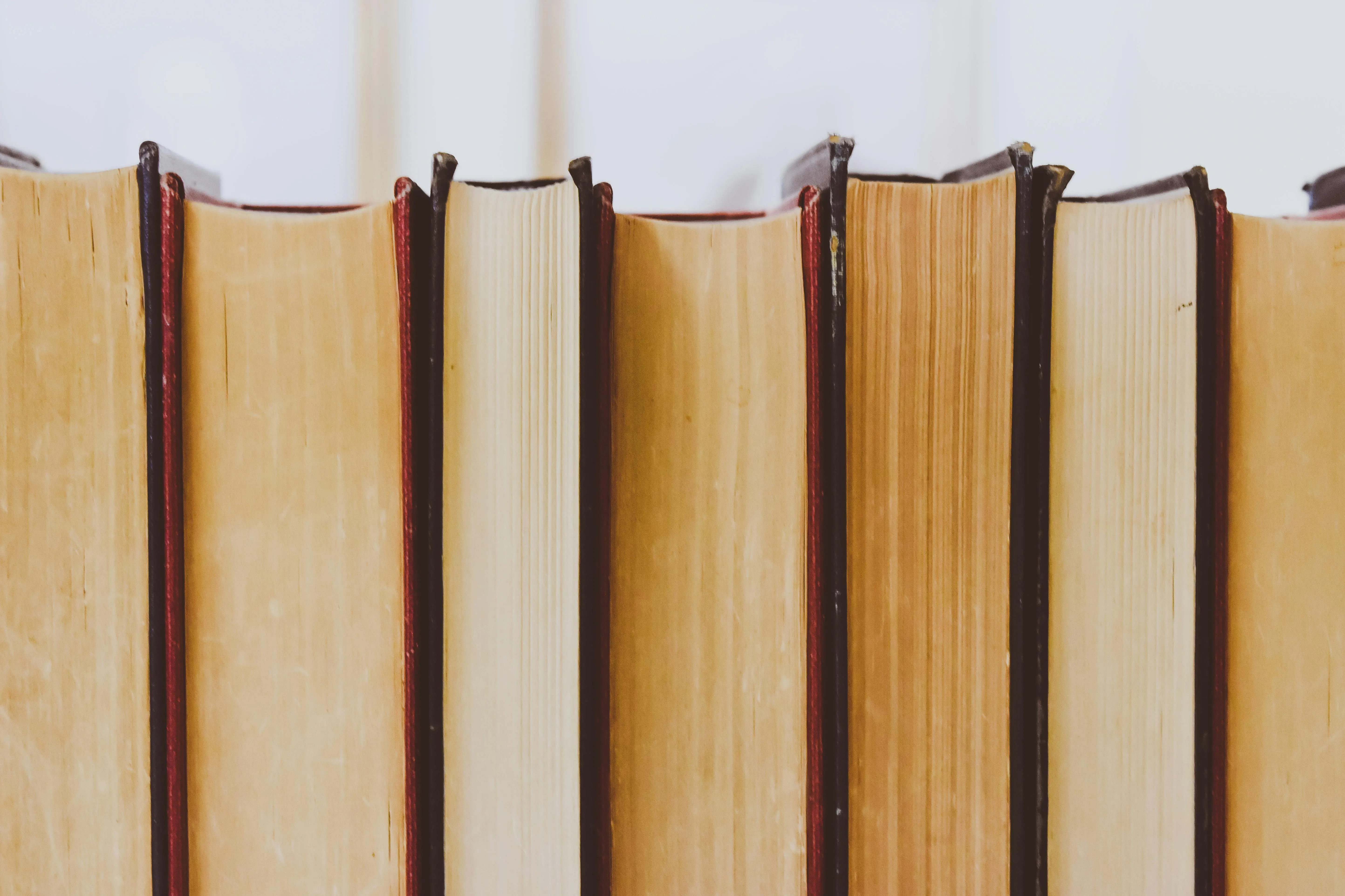 Estudantes de Feira de Santana criam livro infantil antirracista 