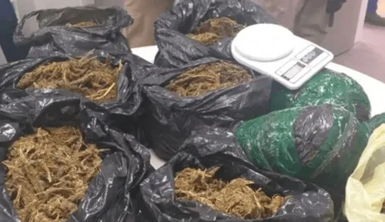 Deu ruim! Mulher chama a PM após ser agredida pelo namorado, mas os dois são presos após maconha ser encontrada em casa 