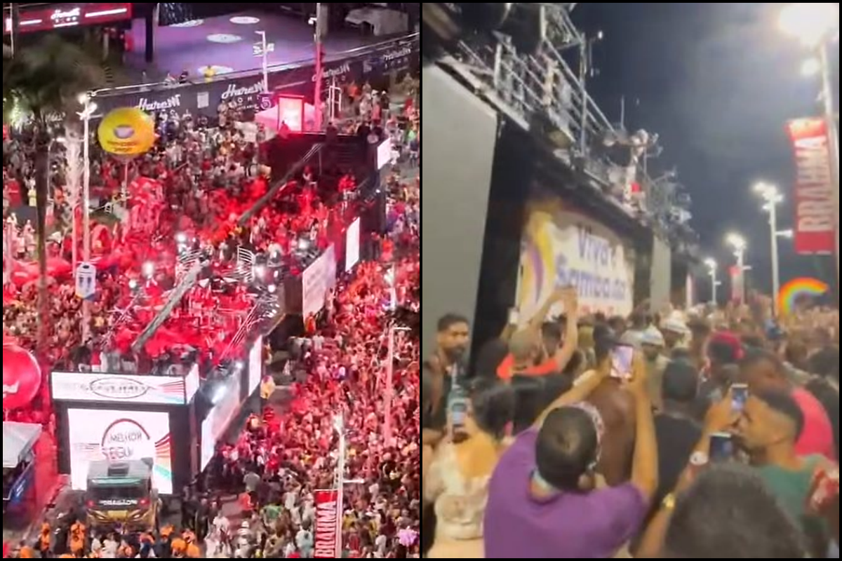 Foto: Reprodu&ccedil;&atilde;o/Macaco Gordo e Bnews