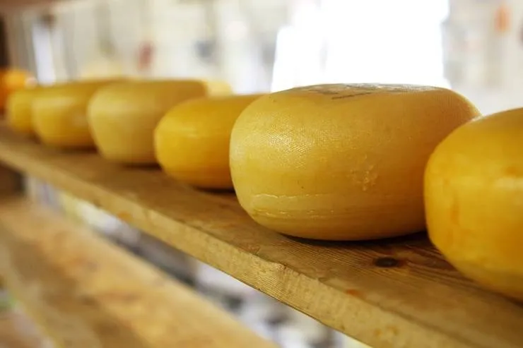 Delícias da terra: queijo e iogurtes baianos são premiados em concurso na França