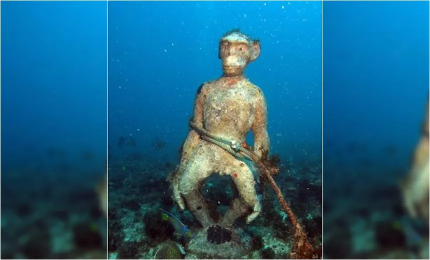 Estátua de macaco é encontrada no mar do Ceará