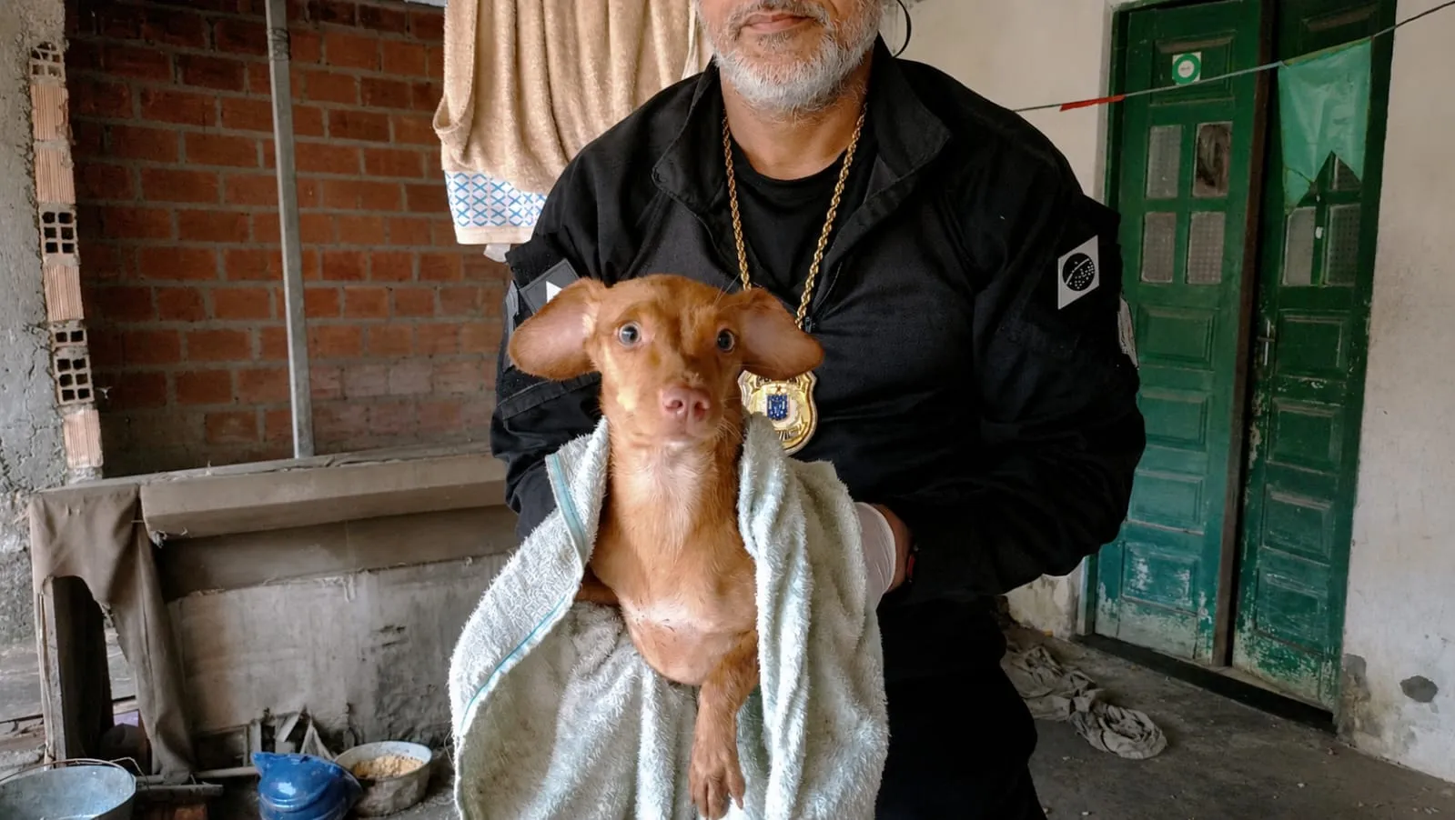 Imagem de cachorro apreendido 