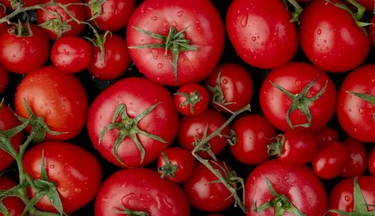 Gasolina, tomate e cebola fazem inflação aumentar na Bahia; manga e leite ficaram mais baratos