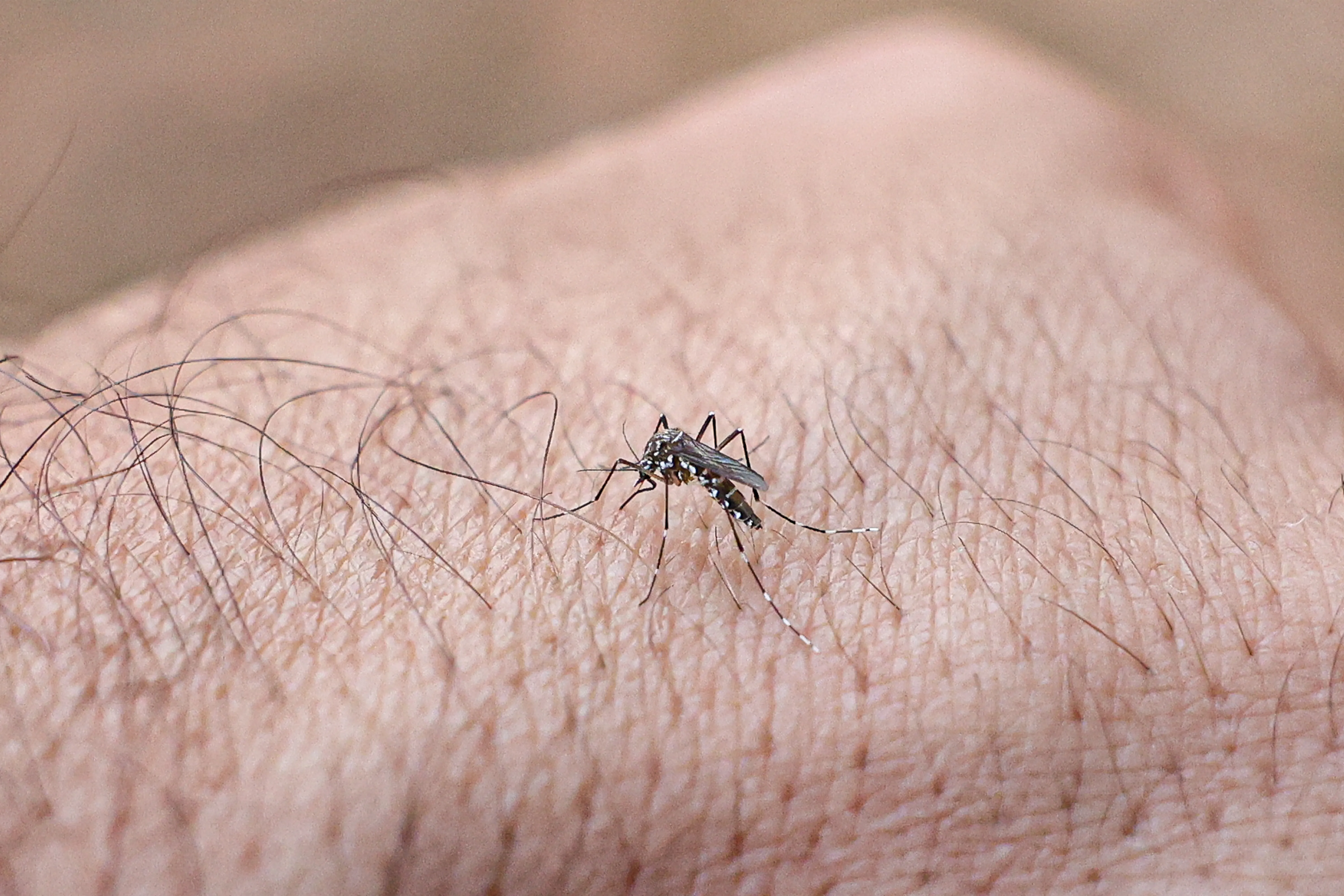 Brasil ultrapassa 1,6 mil mortes por dengue em 2025