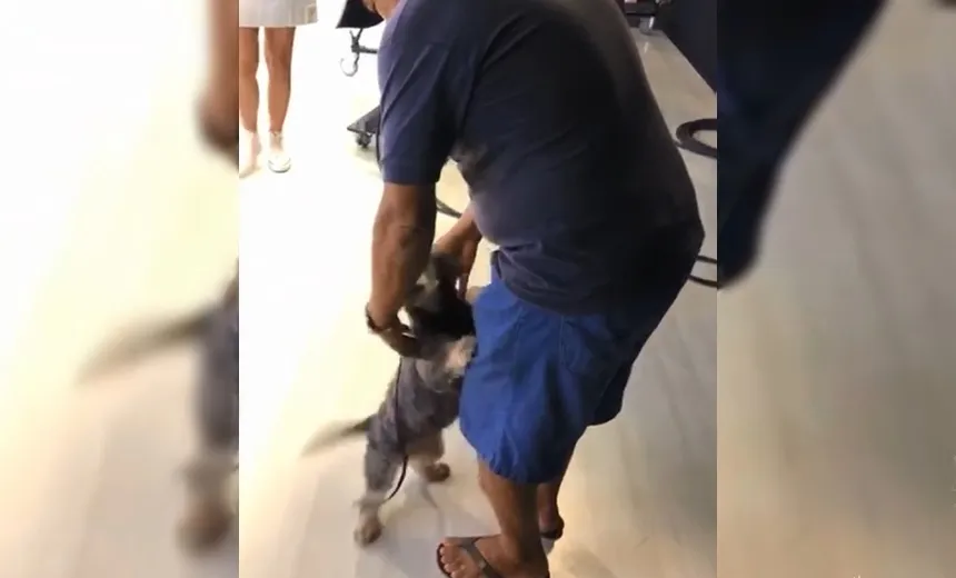 Cachorro reencontra dono após desaparecer na frente de casa; assista
